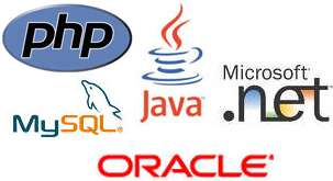 Software development