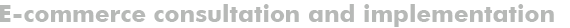 E-commerce consultation and implementation