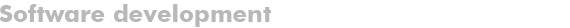 Software development